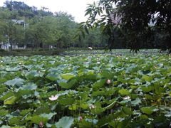 android_upload_pic-五邑大学