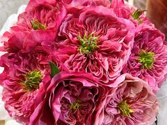 -循礼门鲜花花市(武汉循礼门店)