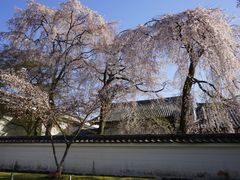 -醍醐寺