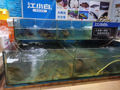 水产区-大鹅岛灶台鱼·铁锅炖(水库路店)