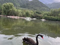 -西安秦岭野生动物园