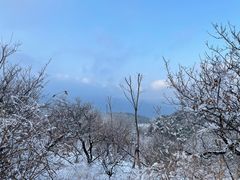 -北京西山国家森林公园