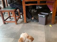 -老三羊汤【北兴隆街店】