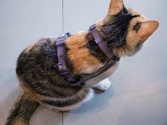 -Again Coffee Roaster(香蜜湖店)