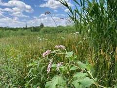 -永定河休闲森林公园