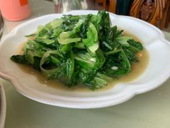 油麦菜-旅宁大酒店