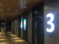 -SFC上影百联影城(川沙IMAX店)