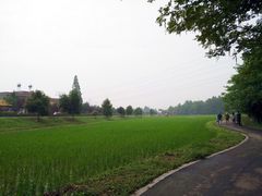 -桤木河湿地公园