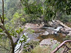 -海南热带雨林国家公园吊罗山景区