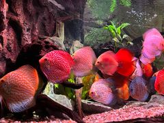 -上海海洋水族馆