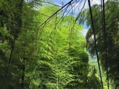 -藏龙百瀑风景区