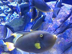 -成都浩海立方海洋公园