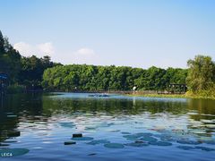 -大湾区中央湿地公园