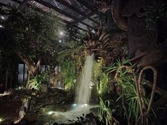 -云境生态园(红谷滩店)