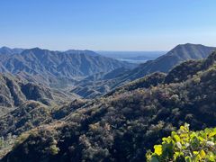 -大岭沟猕猴桃谷风景区