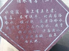 -广西壮族自治区药用植物园