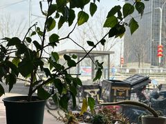 -大家乐东北菜(富河园店)