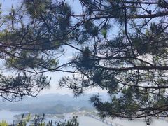 -千岛湖天屿景区