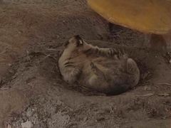 -云南野生动物园