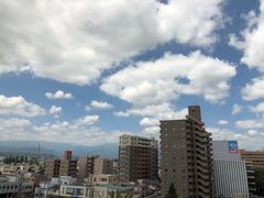 -宫城藏王狐狸村