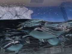 -成都浩海立方海洋公园