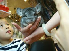 -藦茜花园宠物主题亲子互动体验馆(国顺东路店)