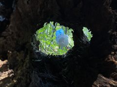 -会稽山峡洞漂流-上青古道