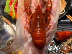 -红盔甲·小龙虾(人民广场店)