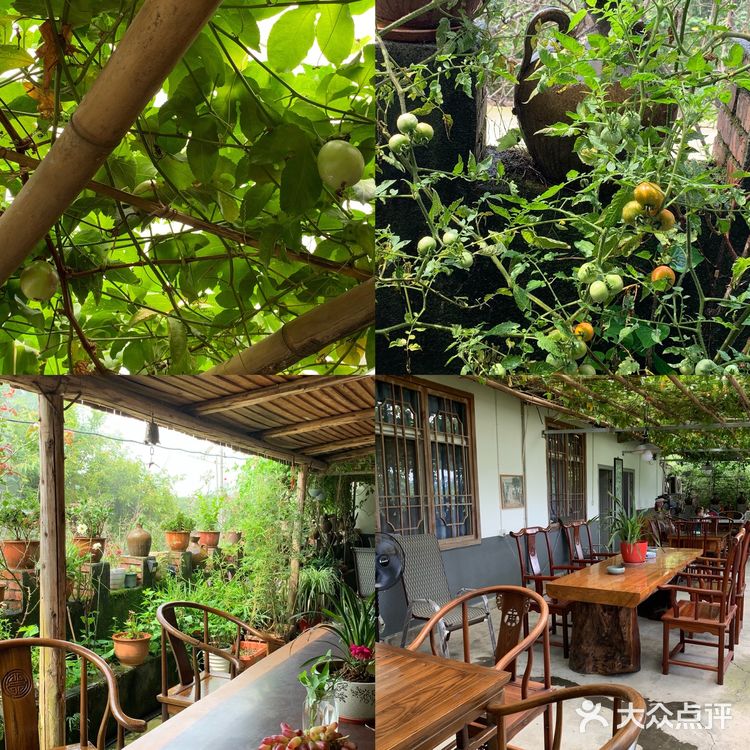 眉山探店｜九芳-乐山周边的宝藏农场👨🏻‍🌾 