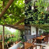 眉山探店｜九芳-乐山周边的宝藏农场👨🏻‍🌾 