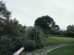 -和茶馆(西溪栖悦城店)
