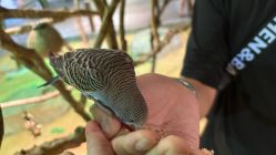 -酷嗒动物文化乐园(cutezoo西溪乐天城店)