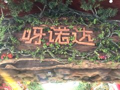 -呀诺达热带雨林