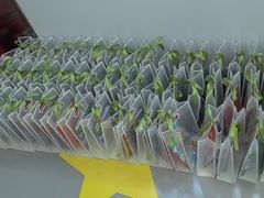 -英孚教育青少儿(河东中心)