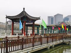 -莲花池公园