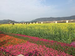 -光明小镇欢乐田园