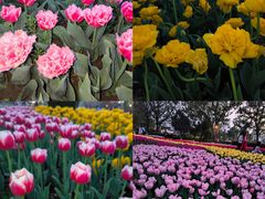 -玄武湖景区-情侣园游乐场