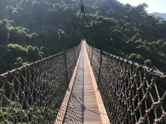-三亚亚龙湾人间天堂鸟巢度假村