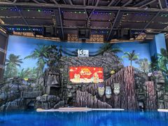 -珠海长隆海洋王国