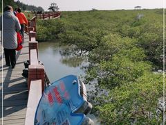 -北海金海湾红树林生态旅游区