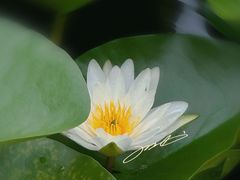 -颐和园