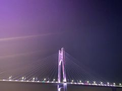 -招商蛇口邮轮母港(观光客运)