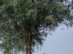 -武昌江滩