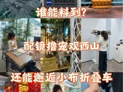 -大视光学•LINDBERG林德伯格•全球手工眼镜集合店(王府井店)