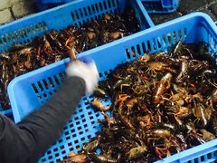 小龙虾-段氏龙虾·烧烤·烤鱼(东书房路店)