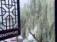 -舒羽咖啡(运河店)