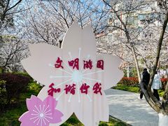 -高东镇樱花园
