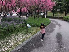 -白塘生态植物园