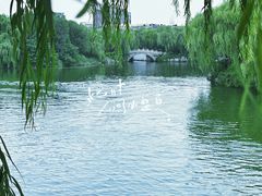 -济南大明湖景区