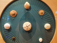 -中国湿地博物馆